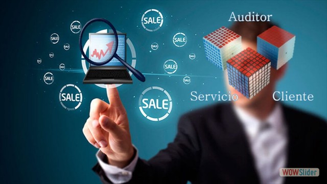 Auditoría Especializada